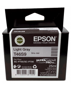 Encre Epson (25ml) pour SureColor P700 : Gris Clair (T46S900)