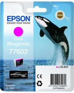 Encre Epson T7603 (Orque) pour SureColor P600 : Magenta (C13T76034010)