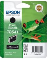 Encre Epson T0541 (Grenouille) Stylus Photo R800 et R1800  : noir photo