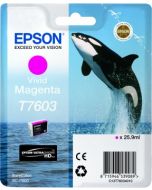 Encre Epson T7603 (Orque) pour SureColor P600 : Magenta (C13T76034010)