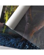 Papier CANSON INFINITY Cristal Glassine Translucide 600x800mm , 50 feuilles