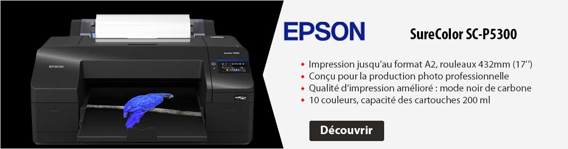 Epson SC-P5300