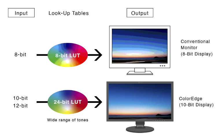 Affichage 10 bits et LUT du moniteur EIZO ColorEdge CG3200X