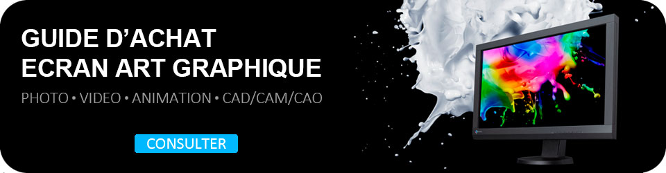 Guide d'achat écran