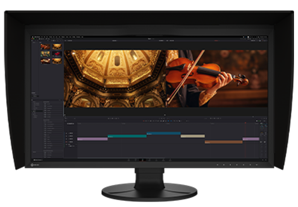 EIZO CG3100X