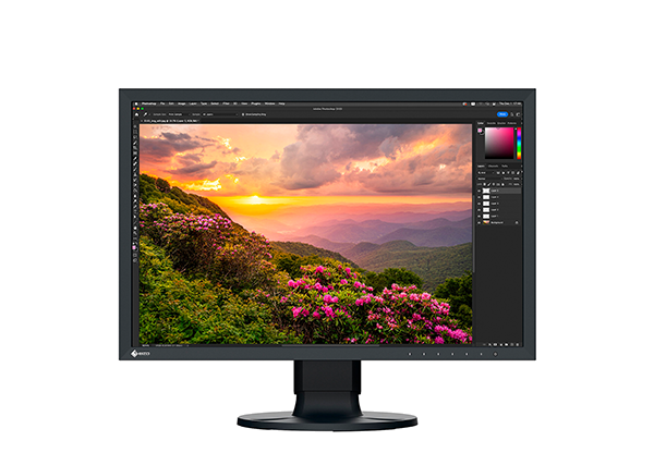 EIZO CS2400S