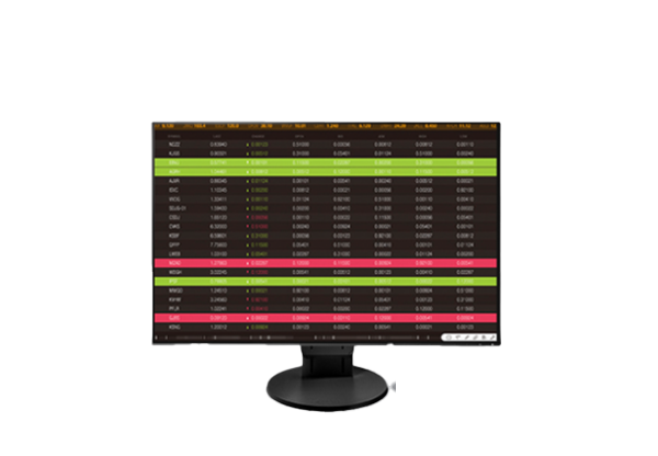 EIZO EV2456W