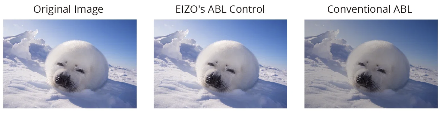 Fonction ABL Safe View du moniteur EIZO ColorEdge CG3200X