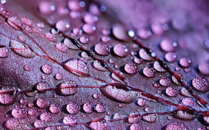 Œuvres photographiques avec vernis sélectif